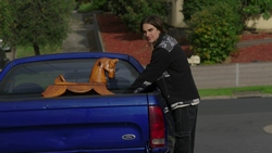  in Neighbours Episode 9351