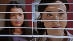  in Neighbours Episode 9354