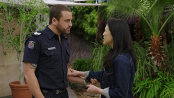  in Neighbours Episode 9335